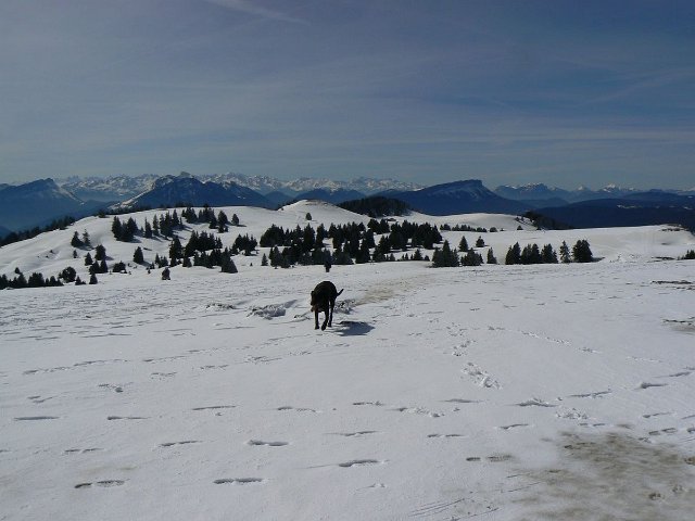 col de Senmoz (87)